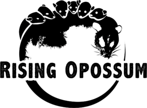 LogoRO_DeliveryUpdate